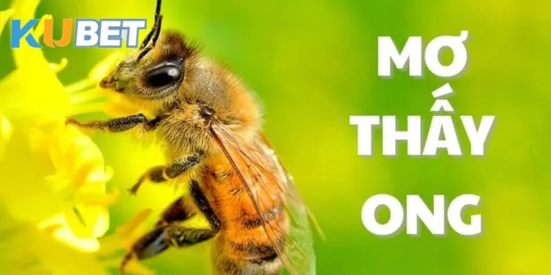 mo-thay-ong-bay-vao-nha-ong-vo-ve