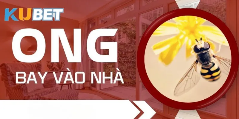 mo-thay-ong-bay-vao-nha-y-nghia