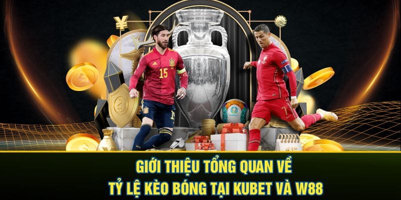 Giới thiệu tổng quan về tỷ lệ kèo bóng tại Kubet và W88